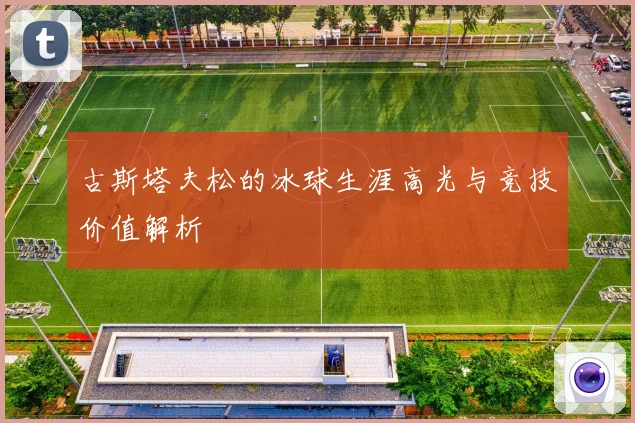 古斯塔夫松的冰球生涯高光与竞技价值解析