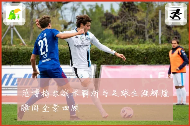 范博梅尔战术解析与足球生涯辉煌瞬间全景回顾
